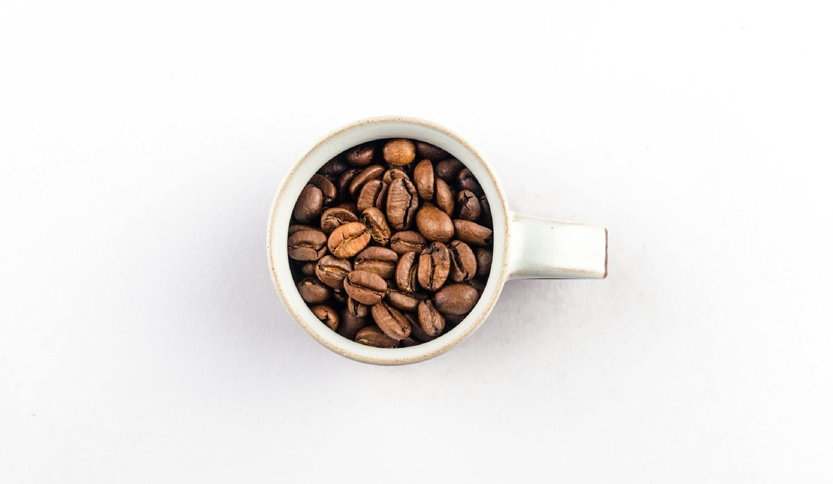 ������ �������� ������� ���� �������� ������ ���������