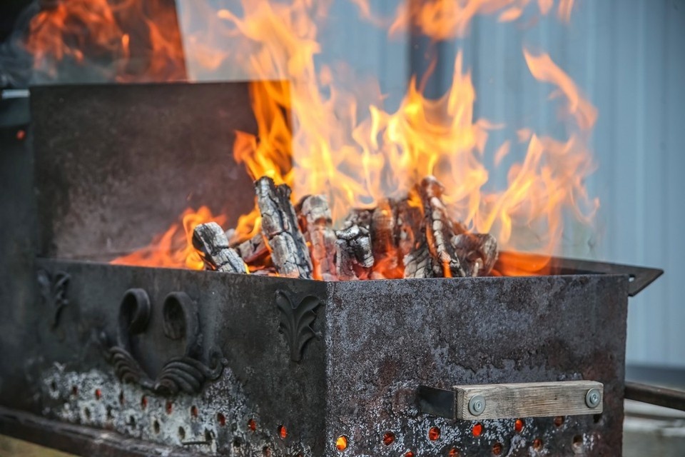 Запреты на открытый огонь в Новосибирской области