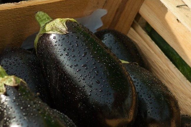 ��������� � �������� � �������� �����: ����� ������� ����������� ��� ����� �����