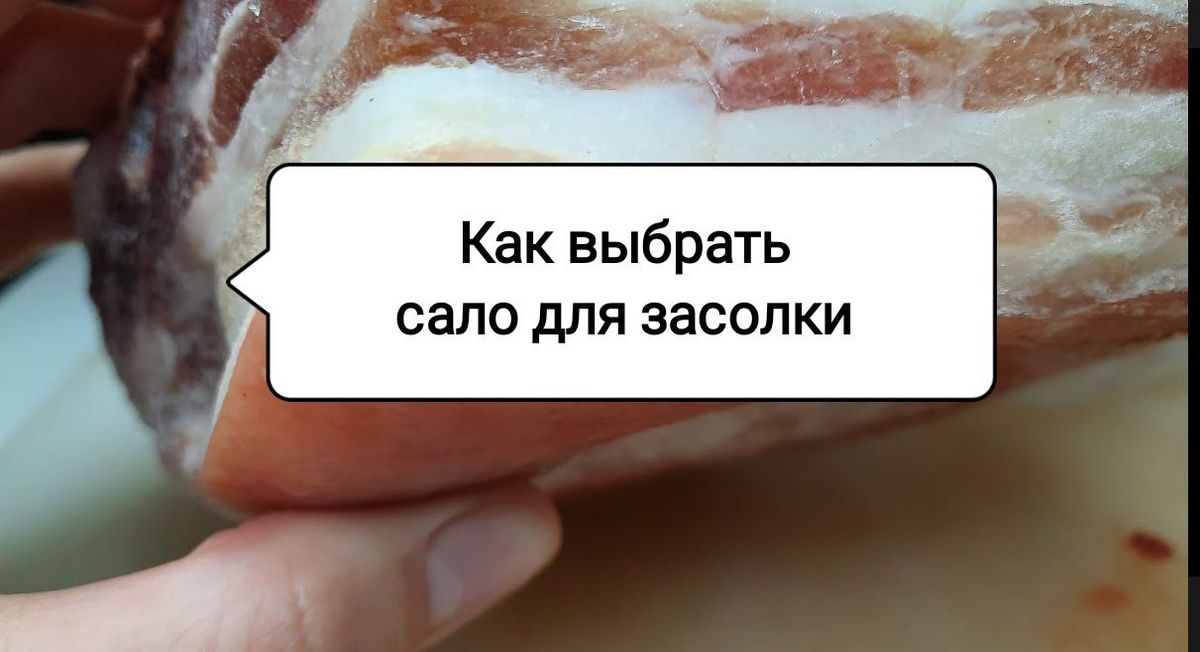 ��� ������� ��������� ���� ��� �������: ������� �������� ��������