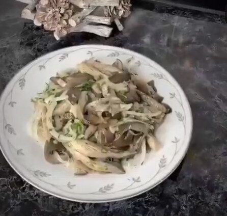 ����� � ���������: ������, ������ � �����������