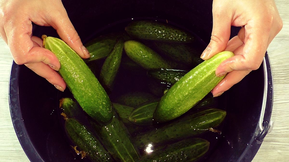 ������� ������� �� ���� ��� ������� � ������: ������� � ������� ������