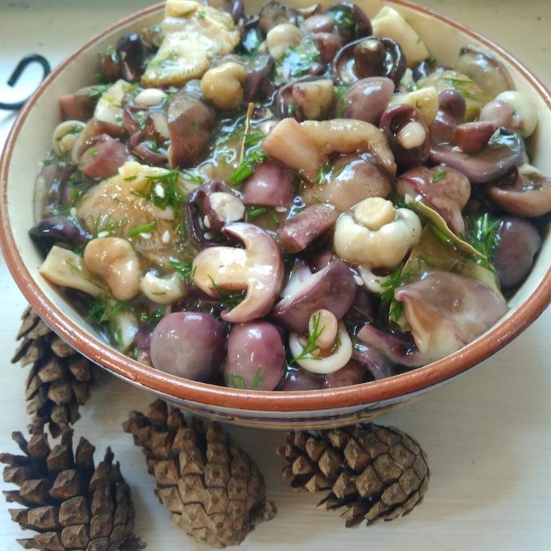 ������� ������������ ��������