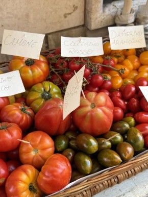 Помидор: сокровище итальянской кухни