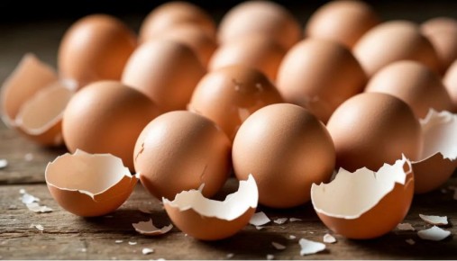 ��� ������ �������� ����� �������� ��� ������: ����������� ������������