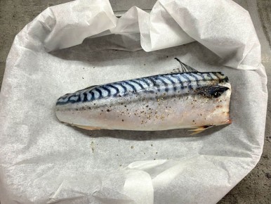 ����� �� ���������: ������� ������ ��� ��������� ��������