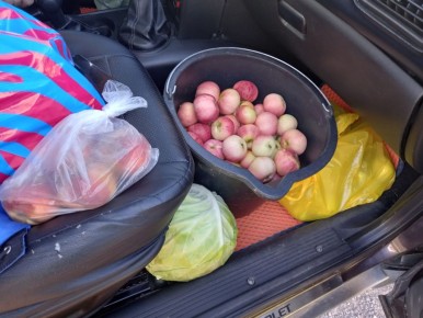 Как щедрая помощь родителей делает жизнь проще и вкуснее