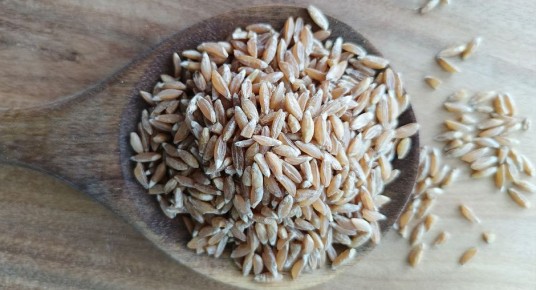 �����: ������� ��������, �������������� � ����������� �����