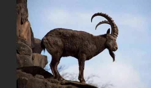 ��������� ������ �����: ��� ����� ���������� ����?