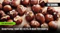 Каштаны: открываем новый гастрономический тренд