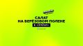 Салат с берёзовым поленом: уникальное предложение московского ресторана INOUT