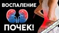 ����� ������� ��������: ��������� ����� ����������� �������� ���������������