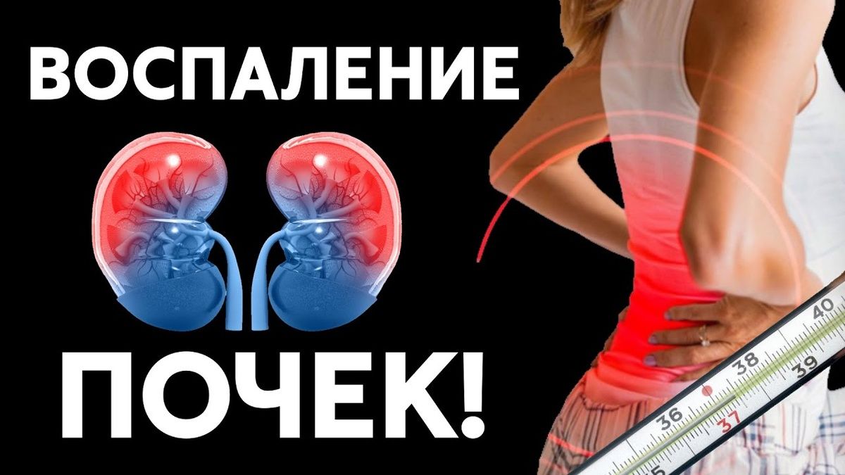 Когда аппетит исчезает: тревожные знаки хронической почечной недостаточности