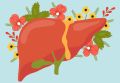 Гемангиома печени: что нужно знать о доброкачественных образованиях